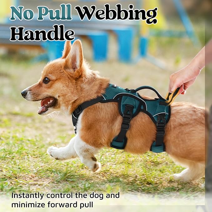 rabbitgoo Escape Proof Dog Harness Small Sized Dog, Soft Padded Full Body Pet Harness, Reflective Adjustable Vest with Lift Handle and Leash Clip for Walking Hiking Training, Dark Green, S