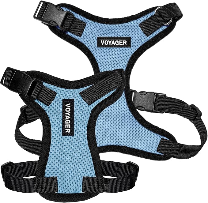 Voyager Step-in Pet Harness - All Weather Mesh, Adjustable Step in Harness for Cats and Dogs by Best Pet Supplies - Baby Blue/Black Trim, XS