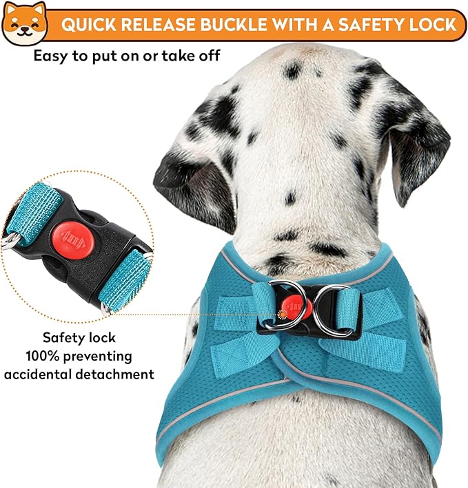 Dog Harness with Leash Set, No-Pull Step-in Reflective Pet Harness with 1 Leash Clips, Adjustable Soft Padded Easy Walk Dog Vest for Small Medium Large Dogs, Cats(Teal, Medium)