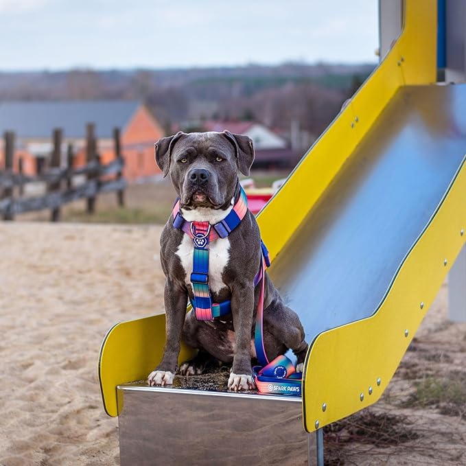 Spark Paws No Pull Dog Harness for Large Dogs, Heavy Duty Dog Harness for Big Strong Breeds, Adjustable, Y Shaped Padded Halter Design with Front Clip - Kaleidoscope- L