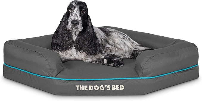 The Dog’s Bed Memory Foam Waterproof Corner Dog Bed, Medium, Grey & Blue Trim, Eases Arthritis & Hip Dysplasia Pain, Therapeutic & Supportive, Washable Oxford Fabric Cover