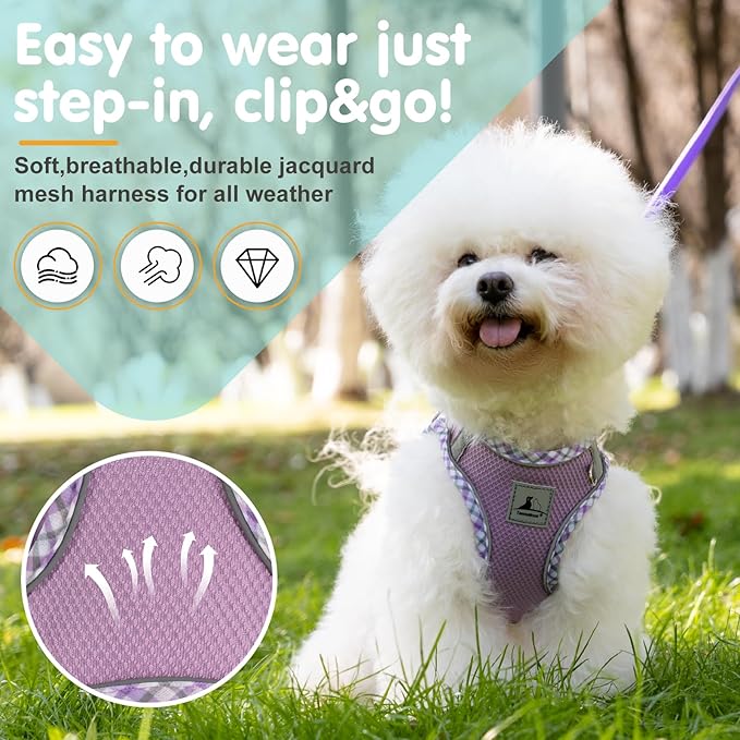 Dog Harness & Leash Set - No Pull Soft Breathable Small Dog Harness, Adjustable Reflective Step-in Vest for Puppy, Kitten, Cats
