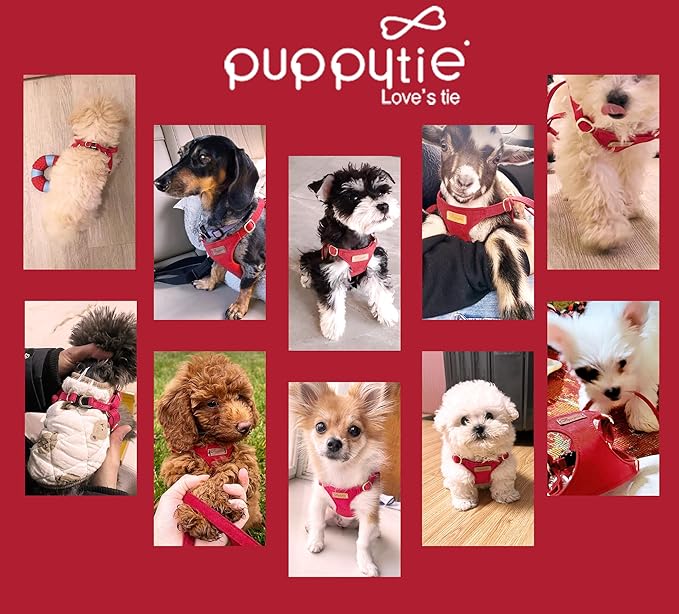 Puppytie No Pull Dog Harness with Multifunction Dog Leash,Soft Adjustable No Choke Escape Proof Pet Harness Vest for Medium Dogs or Large Dogs,red-Camellia,M