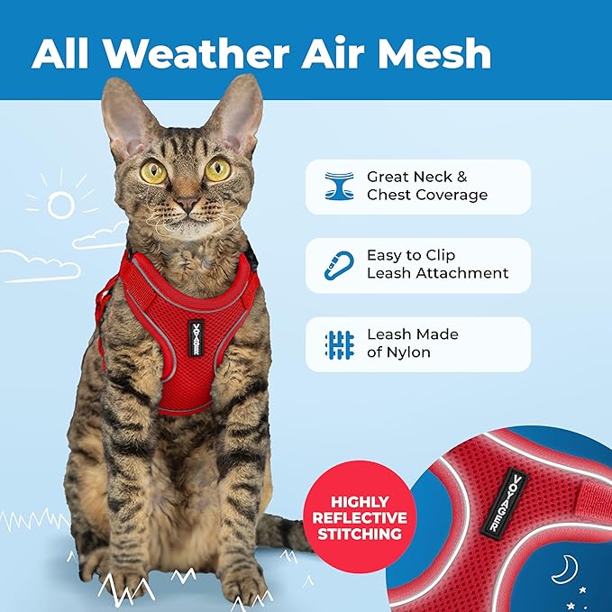 Voyager Escape Proof Cat Harness and Leash Set with Reflective Stitching, Neoprene Handle 5ft - Supports Small, Medium and Large Cats, Kittens for Walking by Best Pet Supplies - Red, S