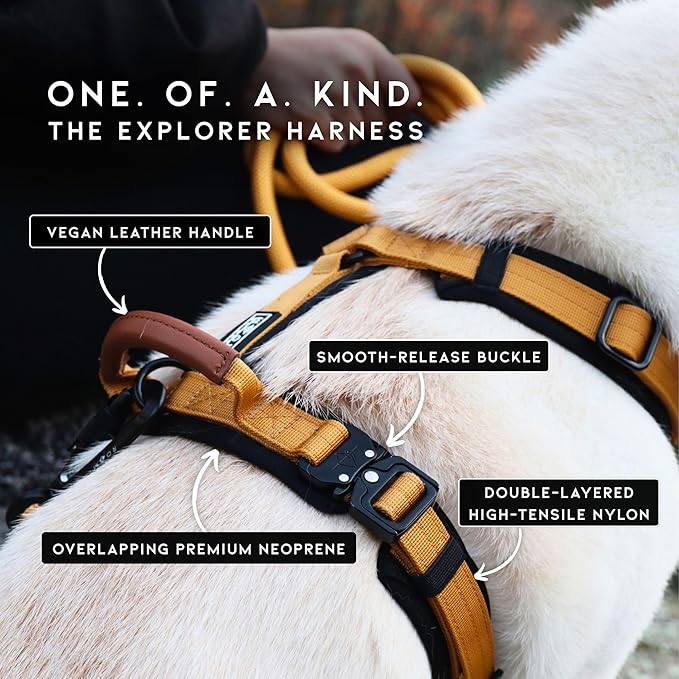 MADE TO ROAM Premium Explorer Harness - Y-Shaped Dog Harness with Adjustable Durable Nylon, Soft Padding, Metal Buckles and Leather Handle for Small, Medium, Large Dogs (Michigan Autumn, Size 1)
