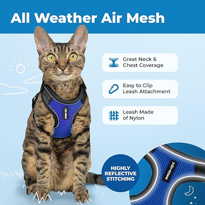 Voyager Escape Proof Cat Harness and Leash Set with Reflective Stitching, Neoprene Handle 5ft - Supports Small, Medium and Large Cats, Kittens for Walking by Best Pet Supplies - BT-Royal Blue, S