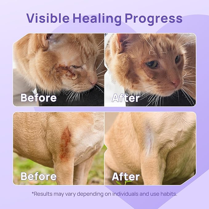 HICC PET Dog Wound Care Hydro Gel, Heals Wounds, Hot Spot Treatment for Dogs, Soothes Inflammation, Prevents Infection, Treats Bites, Scratches & Skin Ulcers, Cat Wound Care Solution, 3.4 Ounces