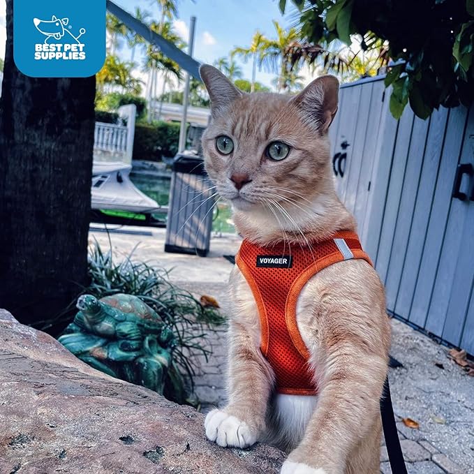 Best Pet Supplies Voyager Step-in Air Harness - All Weather Mesh, Reflective, No Pull Harness for Dogs, Cats - Secure with Hook & Loop Fastener, Buckle, Double D-Rings - Orange, S