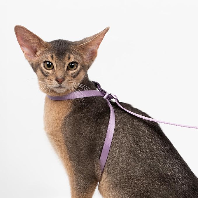 Cat Harness and Leash 2-in-1, Escape Proof Anti-Chocking Harness Adjustable Lighweight Leash Walking Outoor Training for Kitten Small Large Cats Puppy, US IDA Bronze Award (Monet Purple)