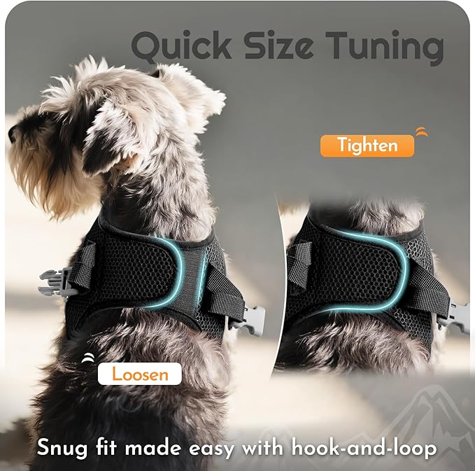 Eagloo Small Dog Harness and Leash Set, Step in Puppy Vest with Breathable Soft Mesh, Walking Reflective Pet Harness for Small Dogs, Black, S