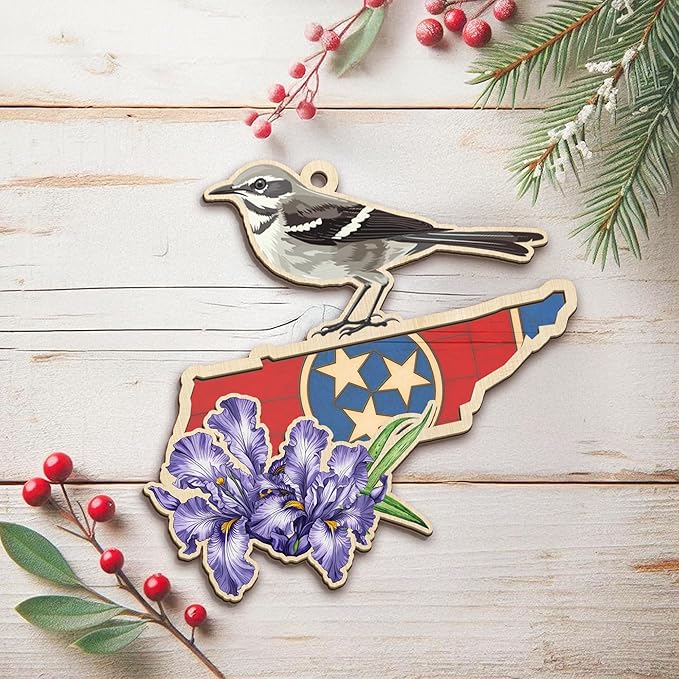 FLAGWIX Christmas Tennessee Gifts for Women Men - Suncatcher Tennessee Christmas Ornaments 2025 - State Ornaments for Tree with Mockingbird and Purple Iris, Xmas Decorations Gifts for Friend Family