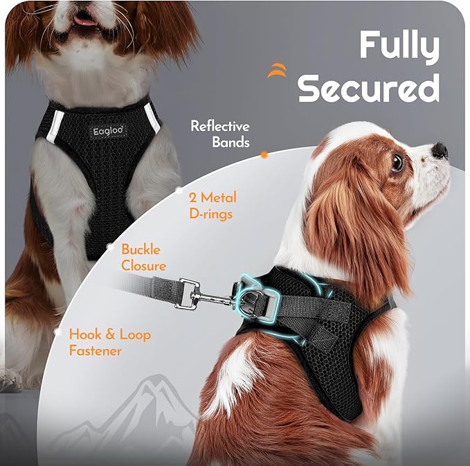 Eagloo Small Dog Harness and Leash Set, Step in Puppy Vest with Breathable Soft Mesh, Walking Reflective Pet Harness for Small Dogs, Black, XS