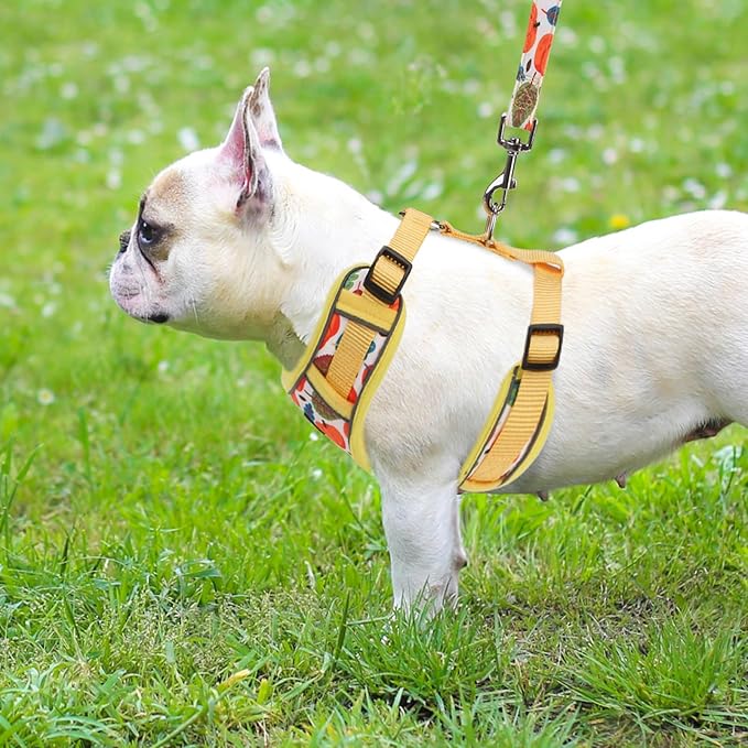 PUPTECK Small Dog Harness and Leash Set, No Pull Adjustable Puppy Cat Harness, Reflective Soft Mesh Pet Vest Small Sized