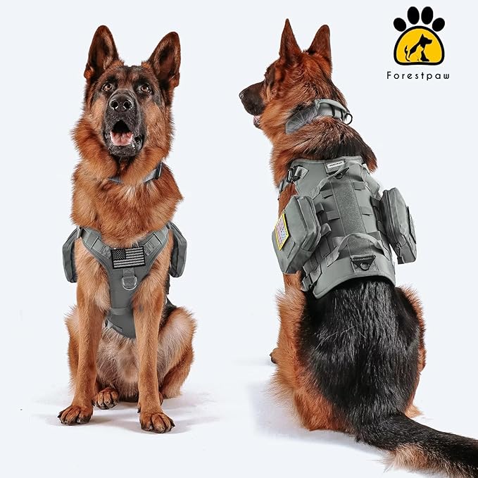Forestpaw Tactical Dog Harness for Large Dogs,Tactical Dog Collar with Bungee Leash Set,No Pull Military Dog Harness for Walking Training,Adjustable for Medium Large Dogs,Gray,Chest 19.5-41.5"
