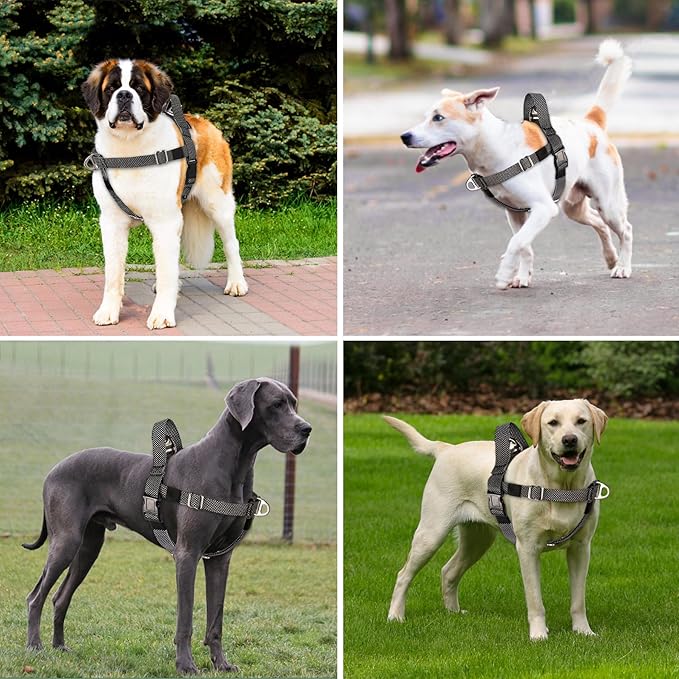 Annchwool Adjustable Dog Harness-Lightweight No Pull Dog Harness with Handle for Small & Medium and Large Dogs-Front Clip Easy for Walking Vest Harness(Black,L)