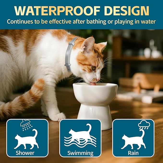 Flea and Tick Collar for Cats – 12-Month Protection – Adjustable & Waterproof – Safe, Long-Lasting Repellent for Fleas, Ticks, Lice & Mosquitoes – Fits Small, Medium & Large Cats 2pack