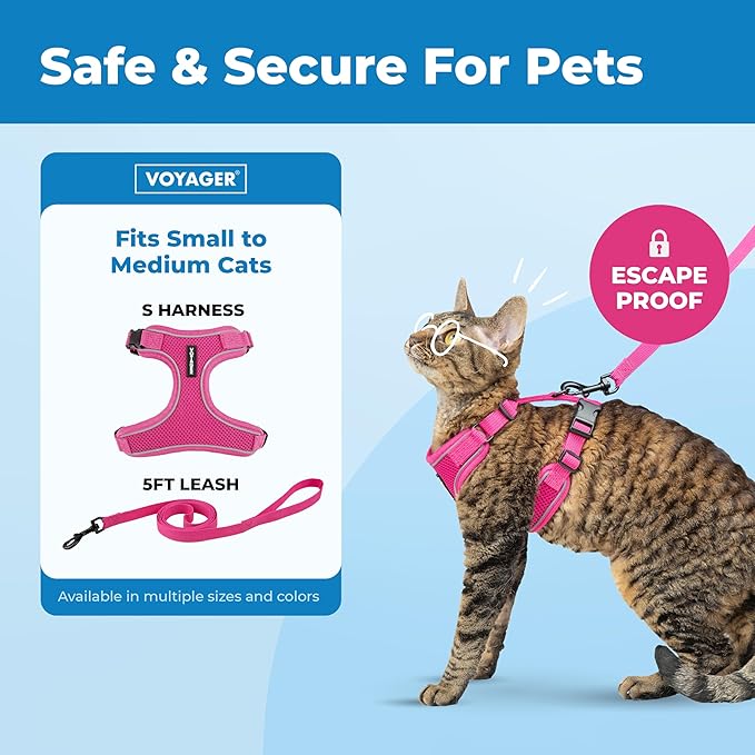 Best Pet Supplies Voyager Escape Proof Cat Harness and Leash Set with Reflective Stitching, Neoprene Handle 5ft - Supports Small, Medium and Large Cats, Kittens - Fuchsia, M (Chest: 16.5-19.5")