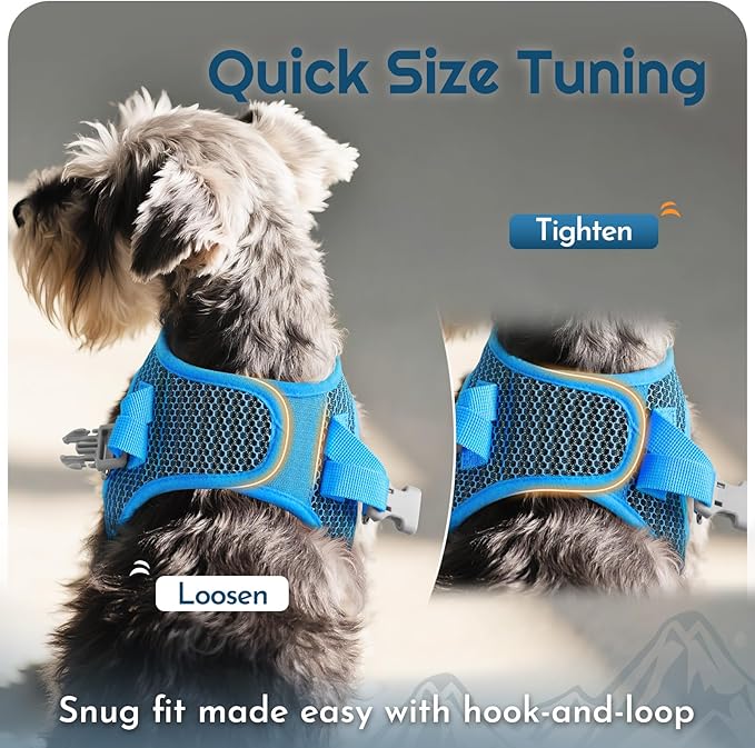 Eagloo Small Dog Harness and Leash Set, Step in Puppy Vest with Breathable Soft Mesh, Walking Reflective Pet Harness for Small Dogs, Blue, XS