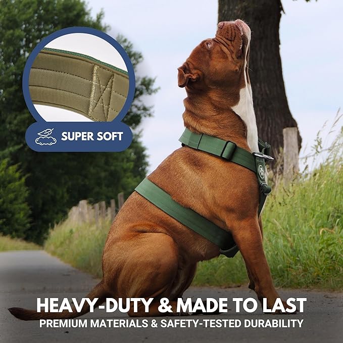 Spark Paws No Pull Dog Harness for Large Dogs, Heavy Duty Dog Harness for Big Strong Breeds, Adjustable, Y Shaped Padded Halter Design with Front Clip - Solid Green – M