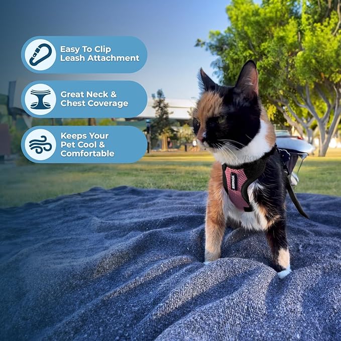 Voyager Step-in Lock Adjustable Cat Harness w. Cat Leash Combo Set with Neoprene Handle 5ft - Supports Small, Medium and Large Breed Cats by Best Pet Supplies - Pink/Black Trim, XS