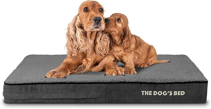The Dog’s Bed Orthopedic Memory Foam Dog Bed, Large Grey Plush 40x25x4, Pain Relief for Arthritis, Hip & Elbow Dysplasia, Post Surgery, Lameness, Supportive, Calming, Waterproof Washable Cover