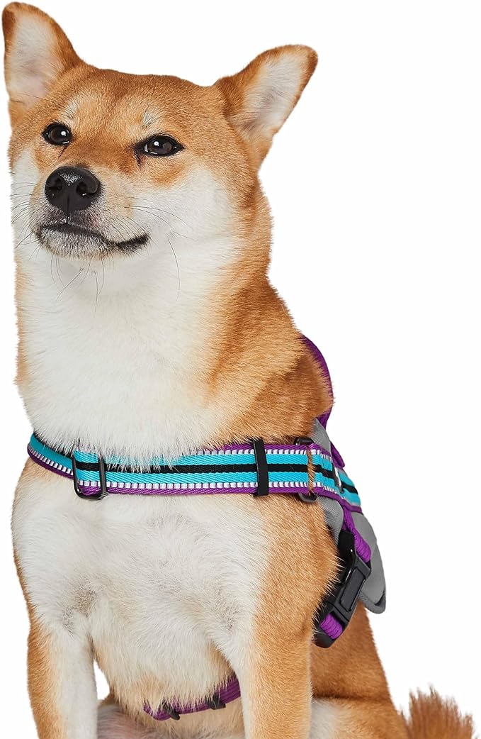 Blueberry Pet Reflective Dog Harness Medium Sized Dog Pink Dog Harness for Large Dogs