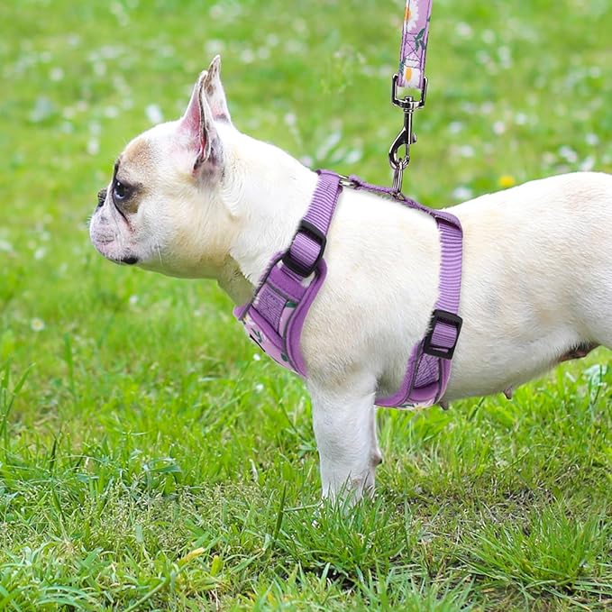 PUPTECK Small Dog Harness and Leash Set, No Pull Adjustable Puppy Cat Harness, Reflective Soft Mesh Pet Vest Small Sized