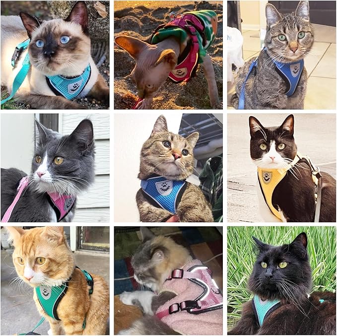 PUPTECK Cat Harness and Leash Set Escape Proof Reflective Cat Walking Harness Adjustable Soft Breathable Mesh Vest for Small Pets, Purple, S