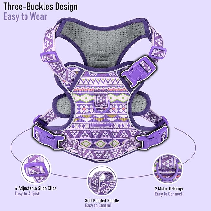 Dog Harness for X-Small Dog Breed, Light Pet Vest Harness with 2 Leash Clips and 3 Buckles, Easy to Wear, Adjustable Reflective Soft Padded, Boston Terrier, Poodles, XS