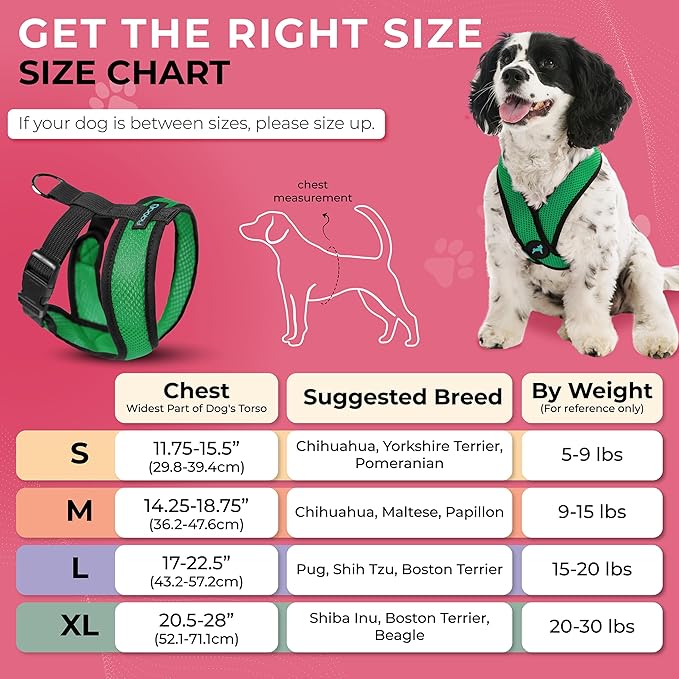 Gooby Comfort X Head in Harness - Hunter Green, Medium - No Pull Small Dog Harness Patented Choke-Free X Frame - On The Go Dog Harness for Medium Dogs No Pull or Small Dogs for Indoor and Outdoor Use