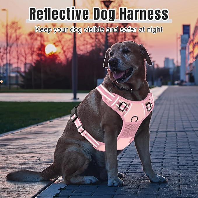 Rnivvi No Pull Dog Harness, Cute Reflective Small Sized Puppy Kitten Harness, Adjustable Soft Padded Vest for Small Dogs, Cats, Heavy Duty Pet Vest with Easy Control Handle for Walking, Pink