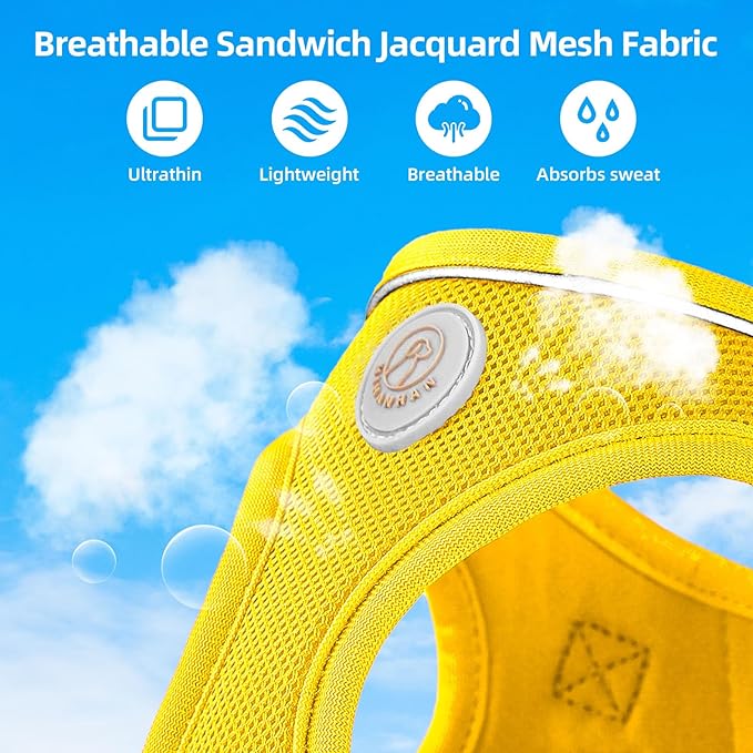 Soft Mesh Dog Harness and Leash Set, No Pull Puppy Harness and Leash Set, Reflective Step in Harness for Small Medium Dogs, Easy Walk Escape Proof Vest Harnesses (Yellow, M)