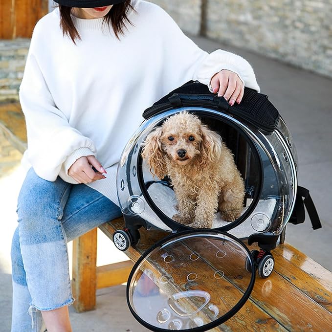 Pet Trolley Case with Ventilation Holes, Pet Carrier,Rolling Carrier,Clear Window Trolley Case,Strollers for Small Dogs,Cat Carrier with Silent Wheels Telescopic for Travel Orange