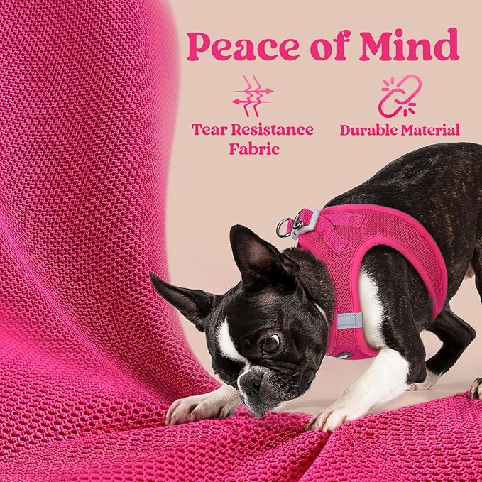 rabbitgoo Small Dog Harness, Step-in Soft Mesh Puppy Vest with Safety Buckle, Breathable Reflective Pet Harness for Large Dogs, Rose Red XXL
