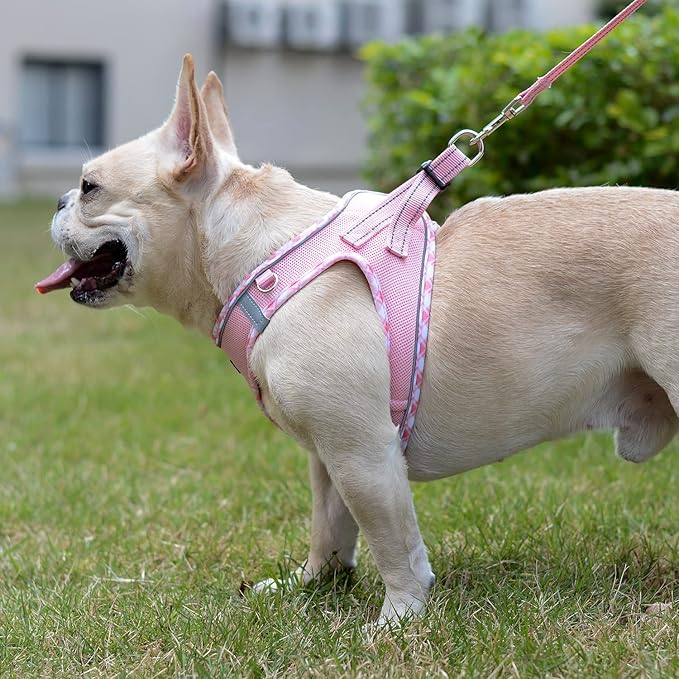 Mercano Soft Mesh Dog Harness and Leash Set, No-Chock Step-in Reflective Breathable Lightweight Easy Walk Vest Harnesses with Safety Buckle for Small Dogs, Cats (Pink, XL)