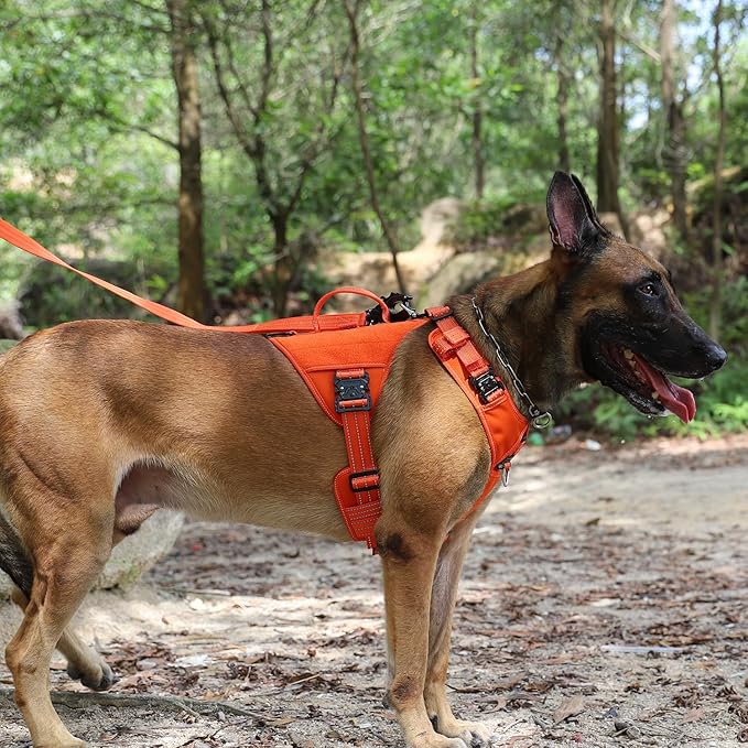 ICEFANG GN8 Tactical Dog Harness with 4X Metal Buckles for Large Sized Dogs,Reflective in Training Walking K9 Vest,No-Pull Front Leash Clip,Adjustable Pet Harness (Orange, Large (Pack of 1))