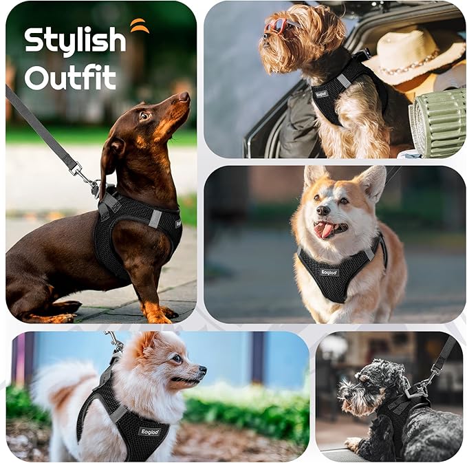 Eagloo Small Dog Harness and Leash Set, Step in Puppy Vest with Breathable Soft Mesh, Walking Reflective Pet Harness for Small Dogs, Black, S