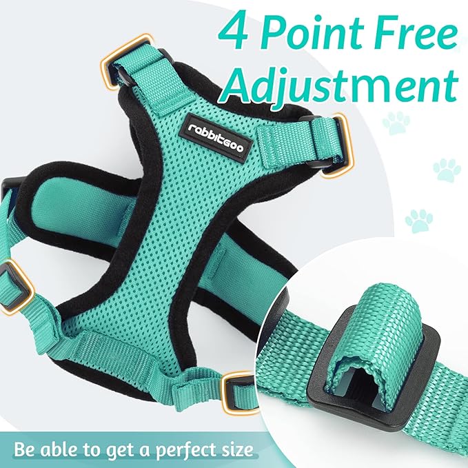 rabbitgoo Cat Harness and Leash for Walking, Escape Proof Soft Adjustable Vest Harnesses for Cats, Easy Control Breathable Reflective Strips Jacket, Emerald, XXS