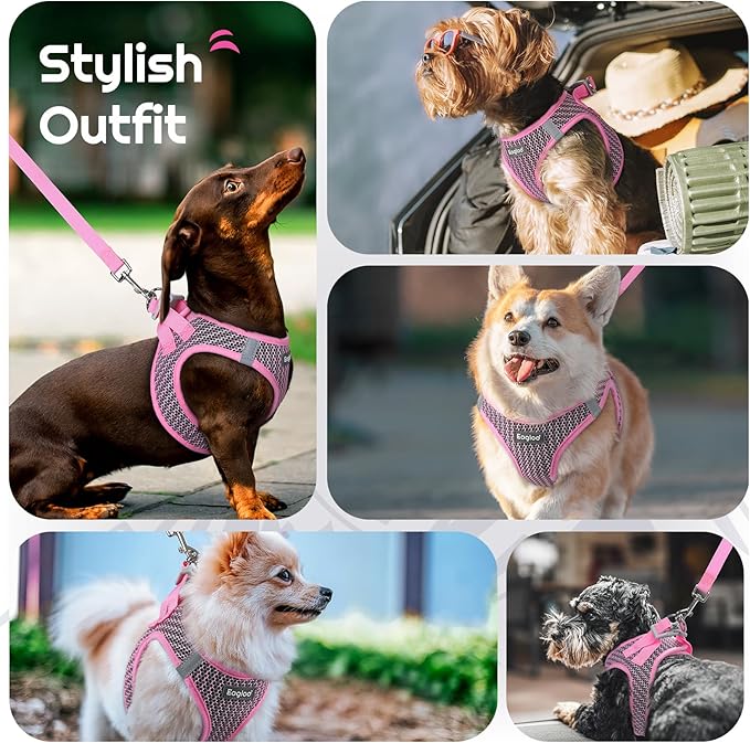 Eagloo Small Dog Harness and Leash Set, Step in Puppy Vest with Breathable Soft Mesh, Walking Reflective Pet Harness for Extra Small Dogs, Pink, XXS