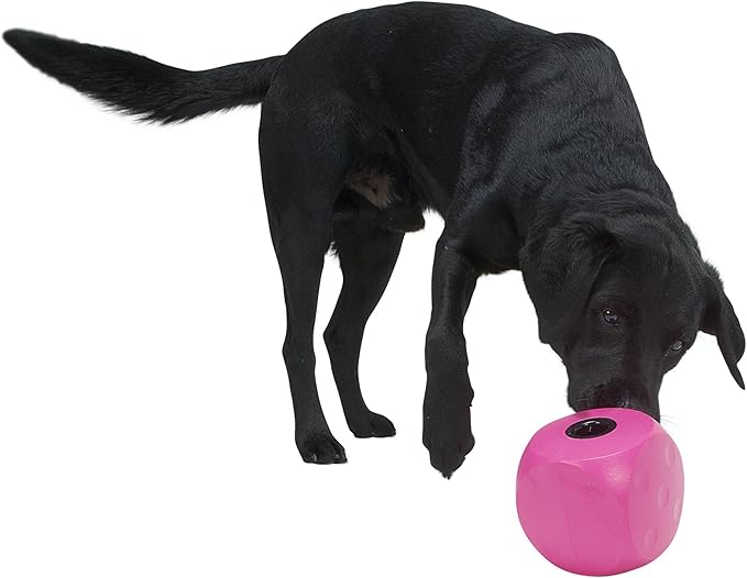 Kruuse Buster Food Cube Feeder, Lime