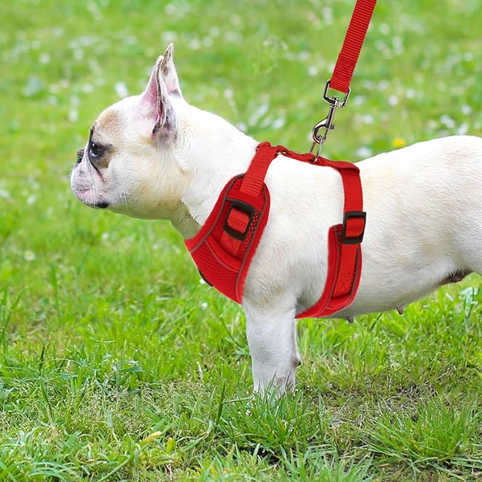 PUPTECK Small Dog Harness and Leash Set, No Pull Adjustable Puppy Cat Harness, Reflective Soft Mesh Pet Vest Small Sized
