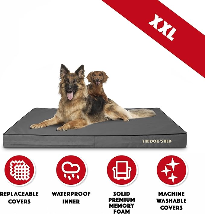 The Dog’s Bed Orthopedic Memory Foam Dog Bed, XXL Grey & Black 54x36, Waterproof, Supportive Dog Bed with Replaceable Covers, Veterinary Approved