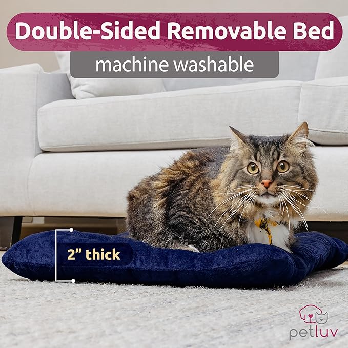 Large Cat Carrier & Dog Carrier for 2 Cats or Medium Dog. Soft Sided Pet Carrier for Travel. Collapsible, Portable with Soft Bed, Top & Side Loading, Locking Zippers, Puppy Crate & Kennel