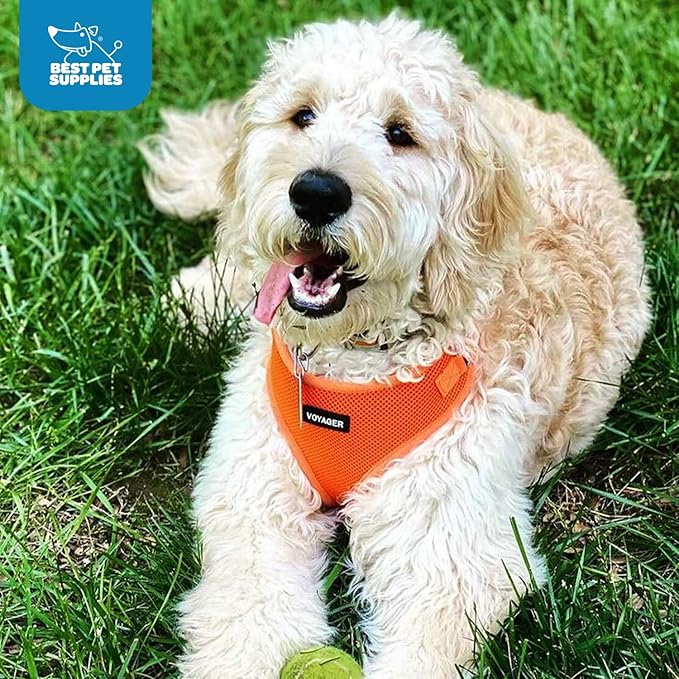 Voyager Step-in Pet Harness - All Weather Mesh, Adjustable Step in Harness for Cats and Dogs by Best Pet Supplies - Orange, XL