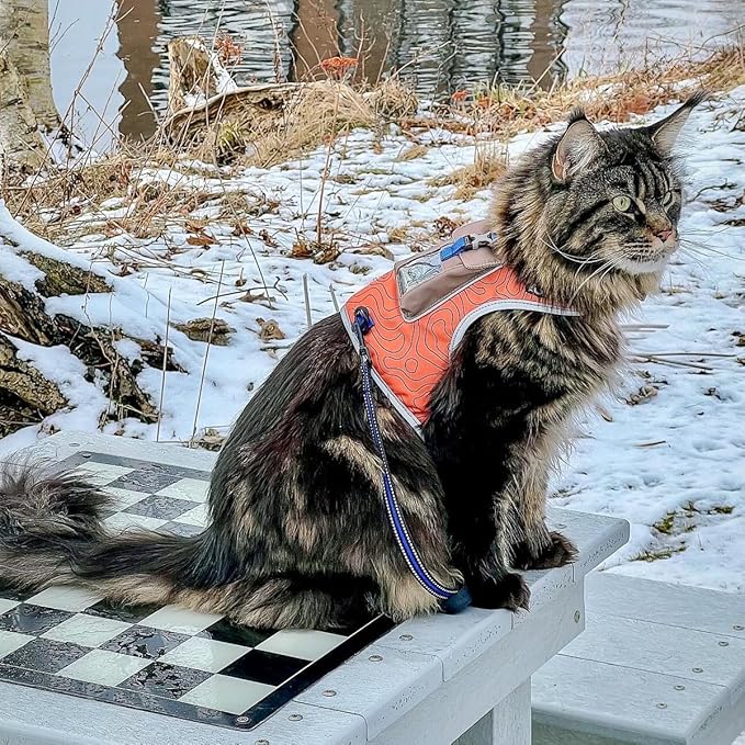TRAVEL CAT The Pathfinder Cat Harness with GPS Tracker Pocket - Powered by Tractive Cat Harness Escape Proof - Walking Escape Proof Harness for Small, Large Cat, Kitten (Orange, Small)
