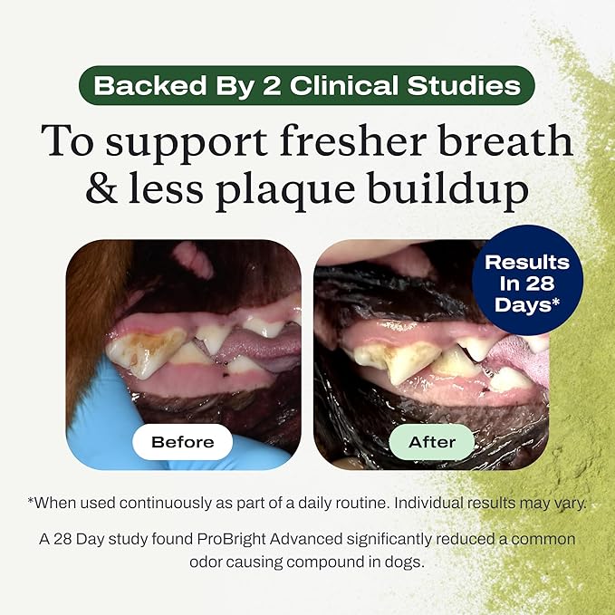 PetLab Co. ProBright Advanced Dental Powder - Dog Breath Freshener - Teeth Cleaning Made Easy – Targets Tartar & Bad Breath - Packaging May Vary - Formulated for Extra Small Dogs