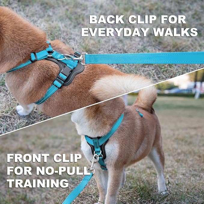Plutus Pet Adjustable No Pull Dog Harness with Leather Accents, Heavy Duty Reflective Nylon Vest for Training, Hiking, Easy Walk Harness for Small, Medium, Large Dogs (Light Blue, S)