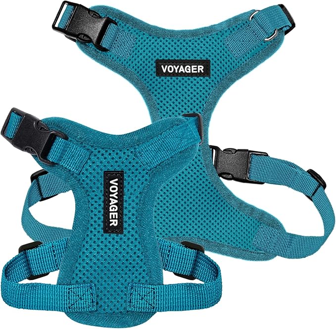 Voyager Step-in Pet Harness - All Weather Mesh, Adjustable Step in Harness for Cats and Dogs by Best Pet Supplies - Turquoise, XL
