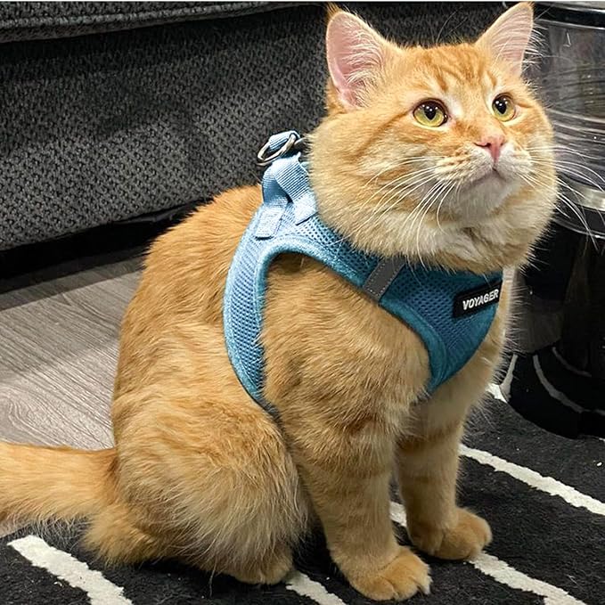 Voyager Step-in Air Cat Leash Harness Set - All Weather Mesh, Step in Vest Harness for Small and Large Cats by Best Pet Supplies - Baby Blue, S (Chest 14-16")