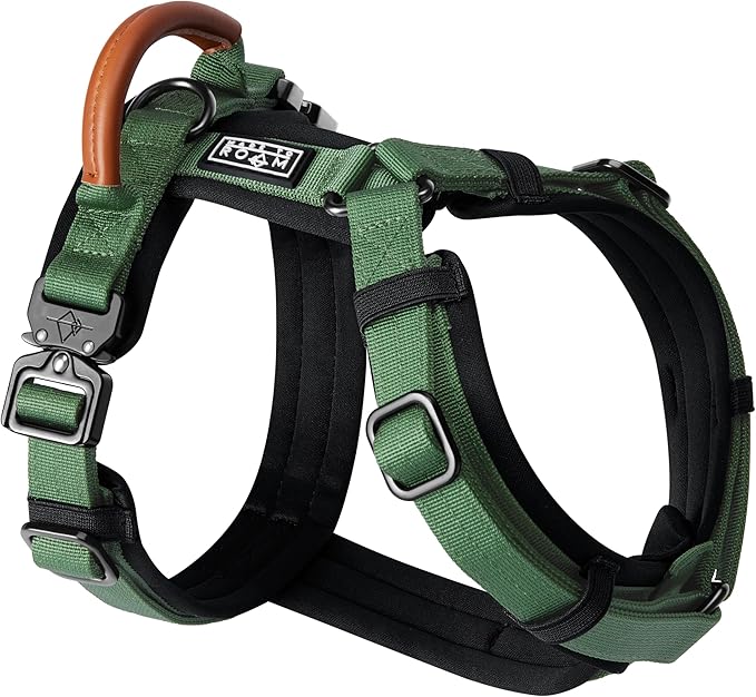 MADE TO ROAM Premium Explorer Harness - Y-Shaped Dog Harness with Adjustable Durable Nylon, Soft Padding, Metal Buckles and Leather Handle for Small, Medium, Large Dogs (Oregon Haze, Size 1)